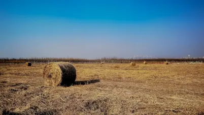 Kakadu Kasino Mobilná aplikácia